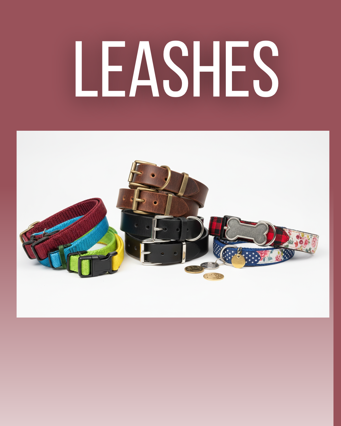Leashes