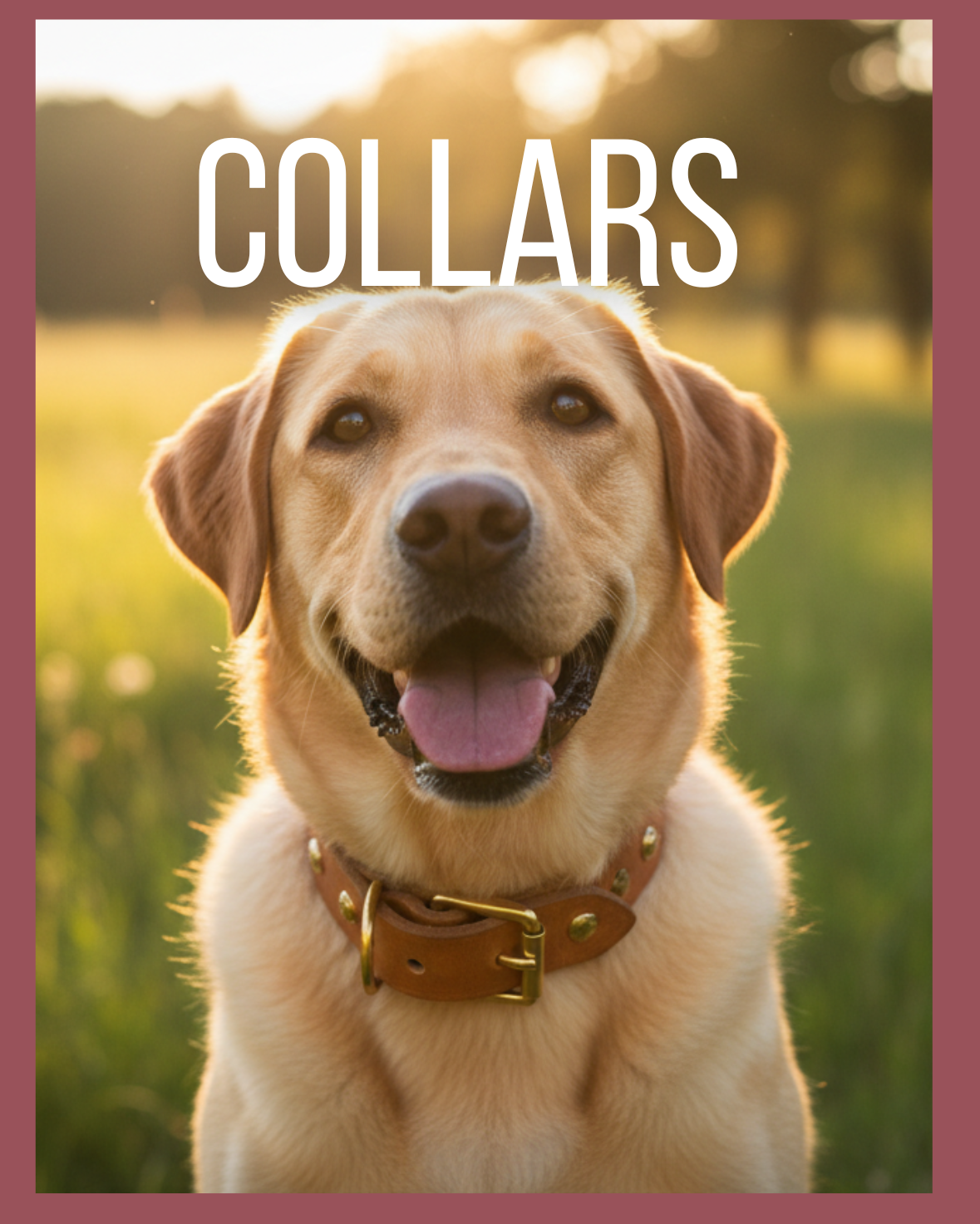Collars